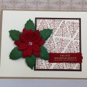 Weihnachtsstern 03