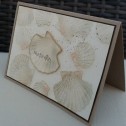 20120830-113842.jpg