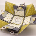 Stampin Up - Stempelherz - Explosion Box - Distressed Dots - Oh Hello 06.jpg