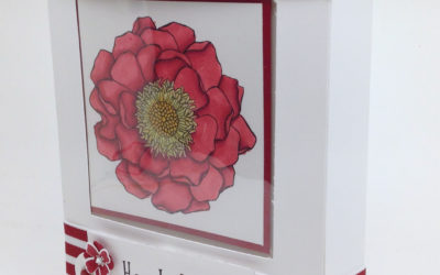 Anleitung für die Verpackung des Kartensets „Blended Bloom“