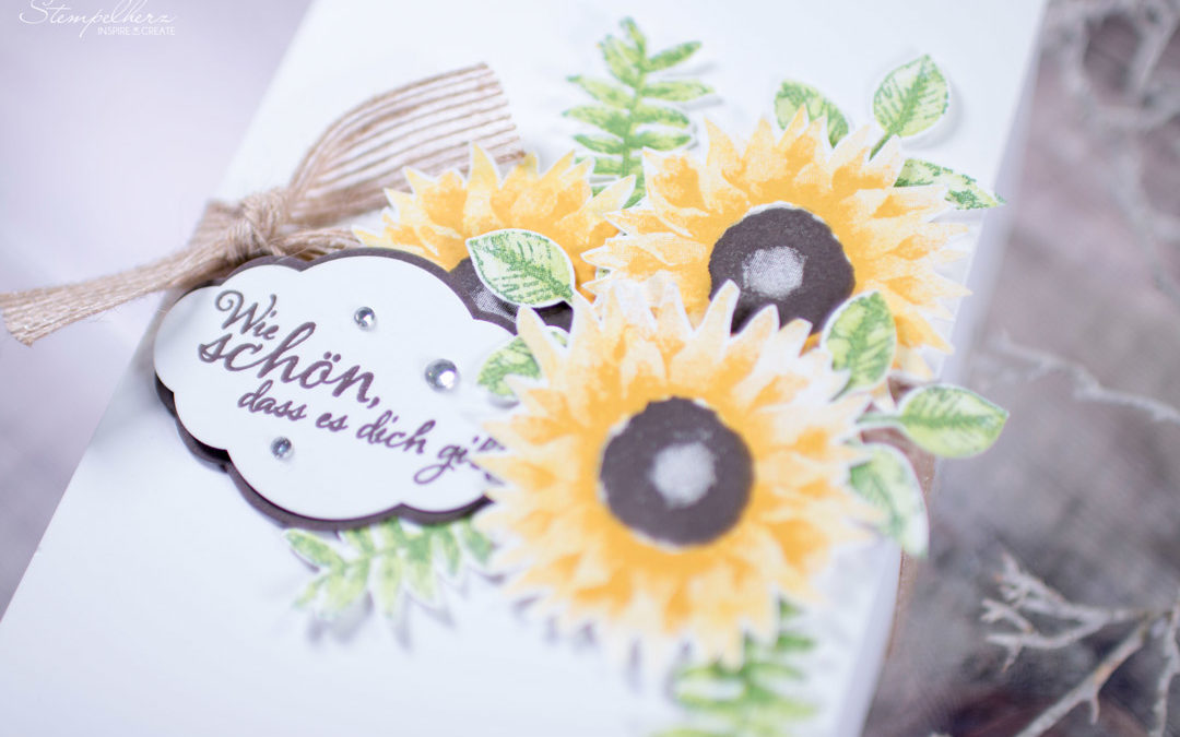 Team-Blog Hop Stempelherz – Herbstliche Geschenkverpackung