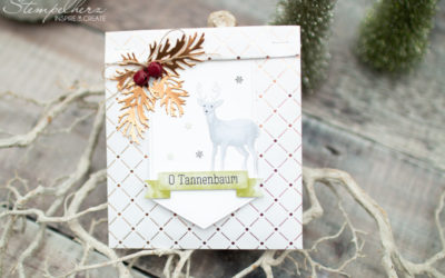 Team-Blog Hop Nikolaus-Goodie