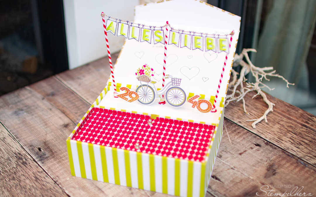 Geburtstagsbox Fahrrad mit Stecksystem